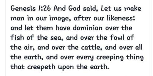 828F5FCA-89AE-4F3E-84DC-EC26FE783693