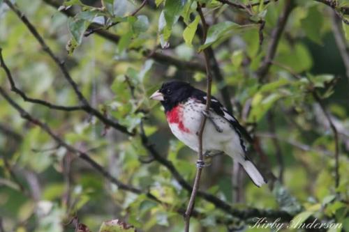 21:30:18 GMT-0600 (CST)