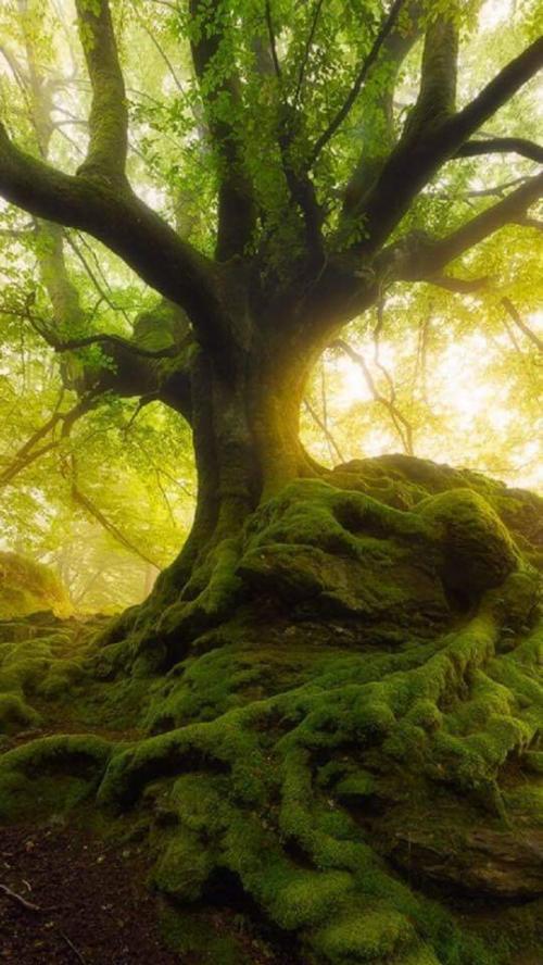 16:14:04 GMT-0600 (CST)