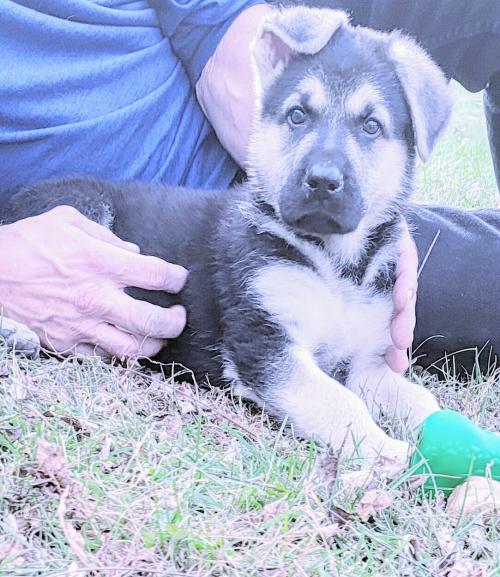 14:18:00 GMT-0600 (CST)