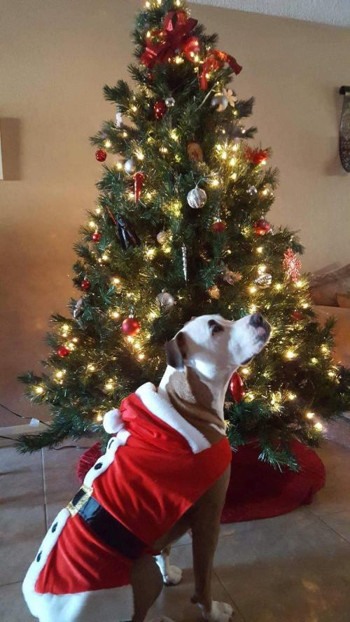 02:21:38 GMT-0700 (MST)