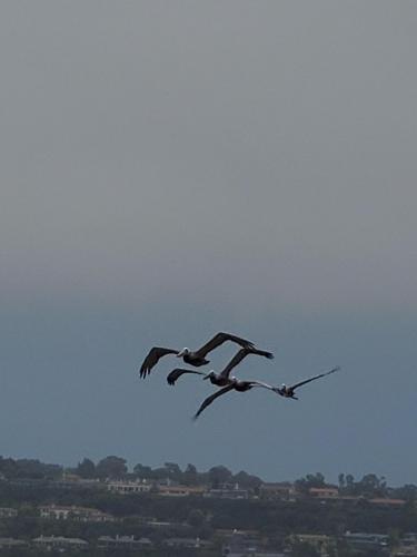 16:01:18 GMT-0800 (PST)