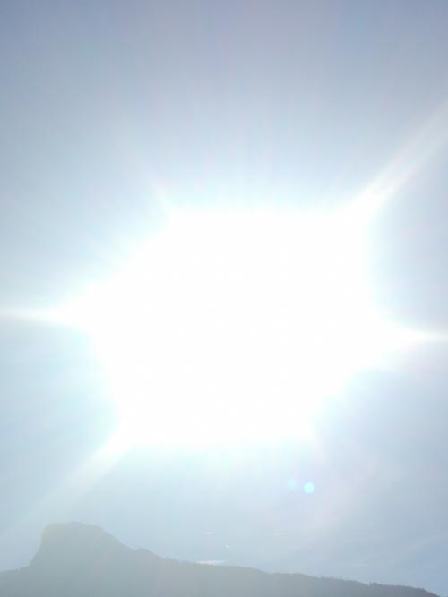 IMG_20181106_104511 (3)