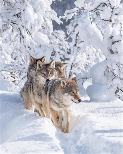 7eb2992338d4199b637ec77199fcab97