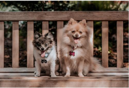 23:02:43 GMT-0600 (CST)