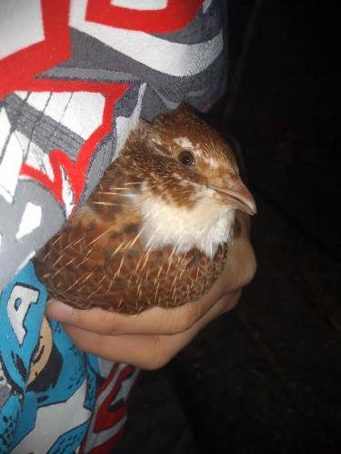 08:27:49 GMT-0600 (CST)