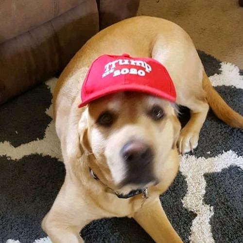 02:37:39 GMT+0100 (WAT)