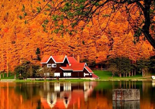 12027723_1187036621313645_8567400093376854999_n