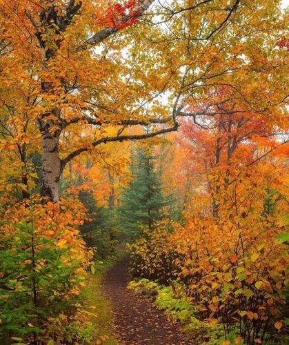 tumblr_d662e9ec8777e98edee3286720d8633a_3882652e_640