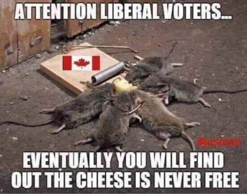 Cheese never free