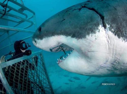 08:25:52 GMT-0500 (EST)