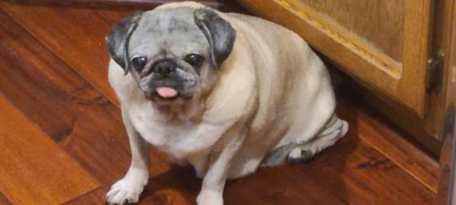 08:59:38 GMT-0800 (PST)