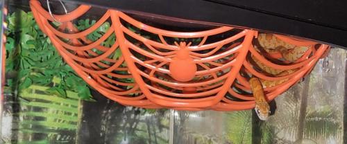 17:17:02 GMT-0500 (EST)