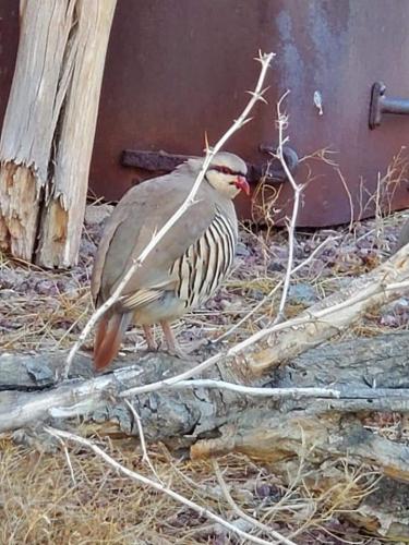 08:18:14 GMT-0800 (PST)