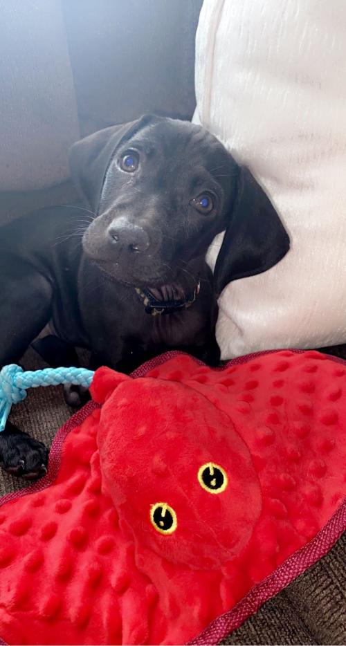 22:13:32 GMT-0500 (EST).image