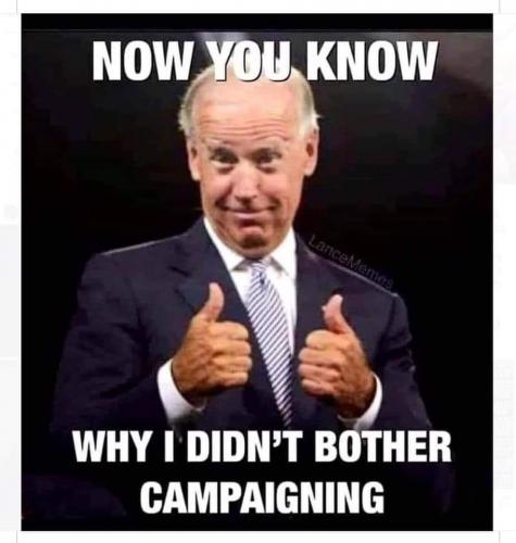 Basement Biden