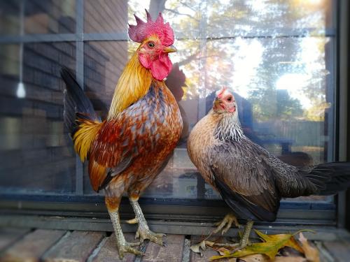 12:29:57 GMT-0600 (CST)