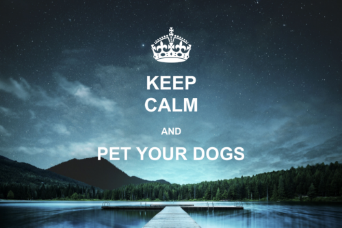 22:37:49 GMT-0600 (CST).image