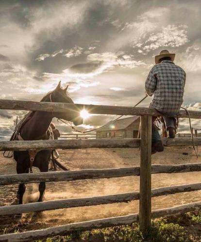 128724864_1222919121427053_1721013230906692864_n