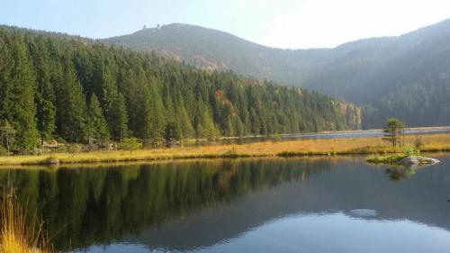 22050380_1272683382877002_2073624908479307651_n