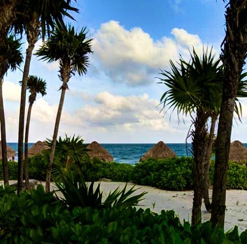 10:41:38 GMT-0600 (CST).image