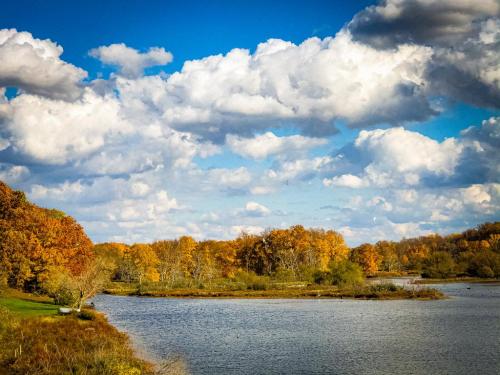 16:01:55 GMT-0500 (EST).image