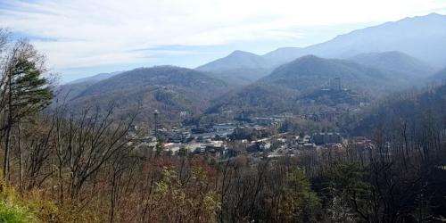 12:09:04 GMT-0500 (EST)