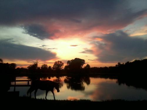 02:36:34 GMT-0600 (CST)