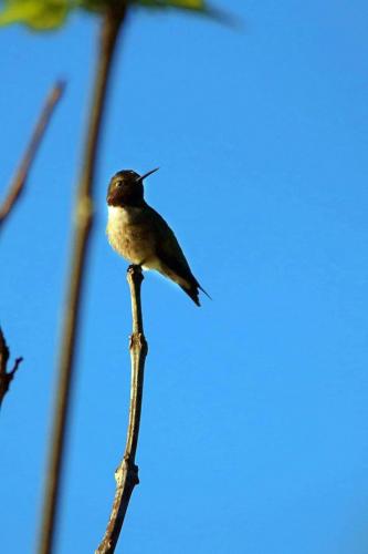 21:30:18 GMT-0600 (CST)