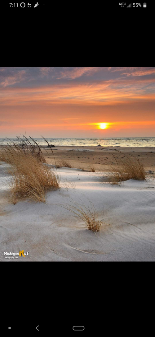 20:59:04 GMT-0500 (EST).png