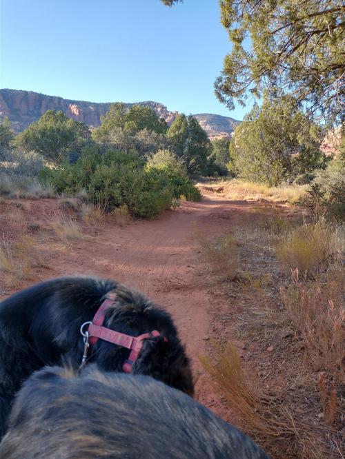 IMG_20201027_155535749_HDR