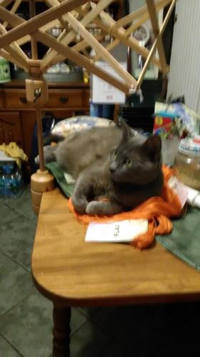 14:59:30 GMT-0500 (EST)