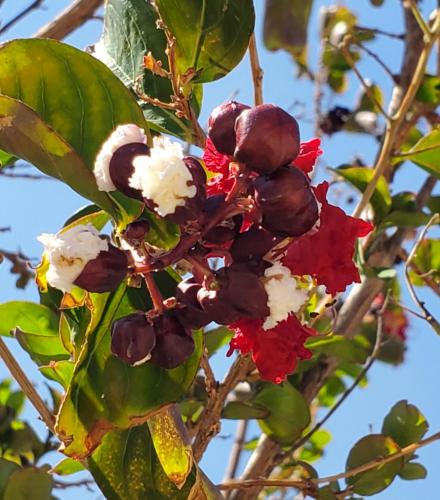 15:47:39 GMT-0800 (PST)