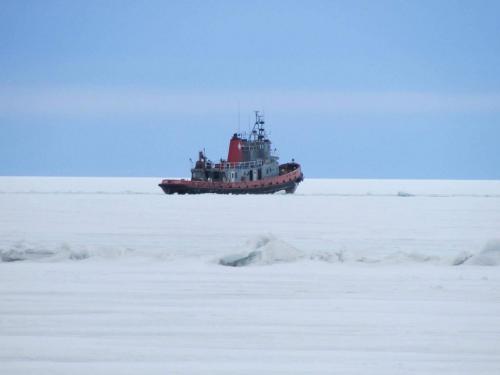 20:17:55 GMT-0600 (CST)