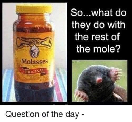 mole