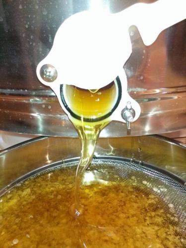 FB_IMG_1605313487955