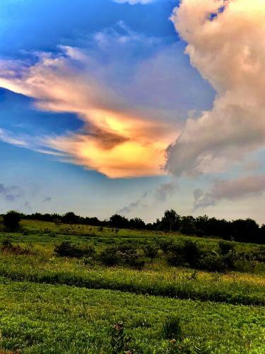 12:55:03 GMT-0500 (EST).image