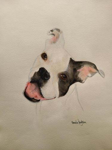 20:12:19 GMT-0700 (MST)