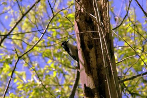 09:51:03 GMT-0600 (CST)