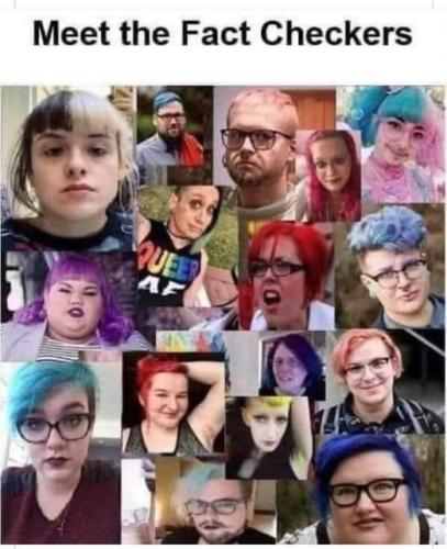 fact_checkers_n