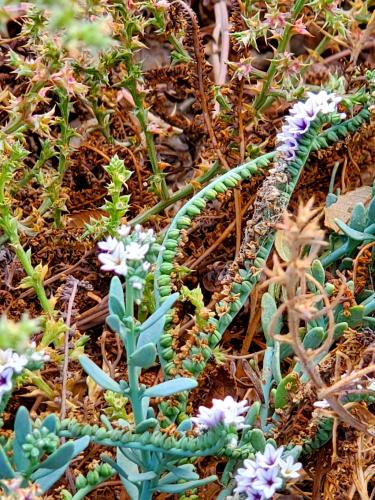 12:15:46 GMT-0800 (PST)