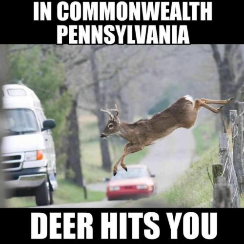 14:42:25 GMT-0500 (EST).image