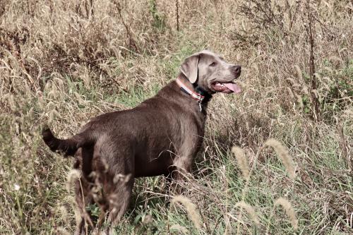 09:26:04 GMT-0500 (EST).image