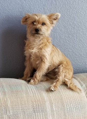 12:00:31 GMT-0800 (PST)