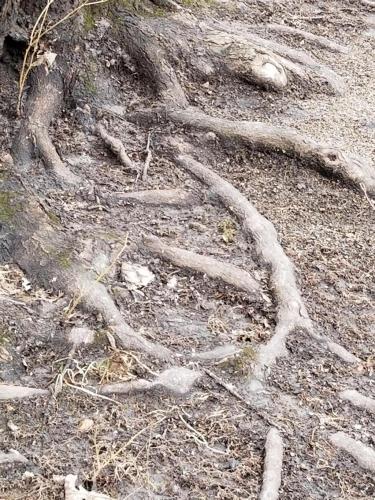 12:35:22 GMT-0500 (EST).image