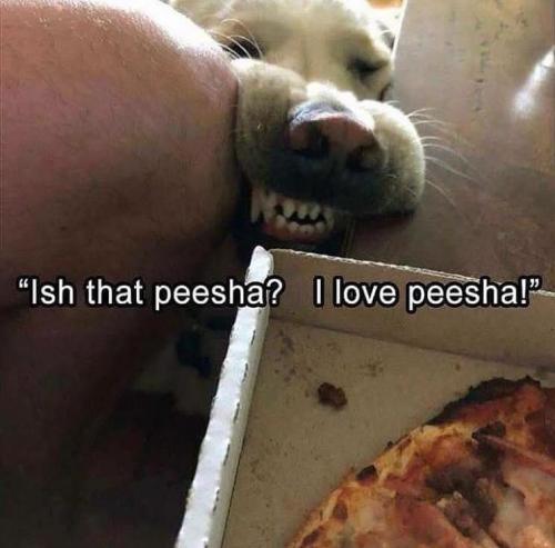 16:42:56 GMT-0500 (EST).image