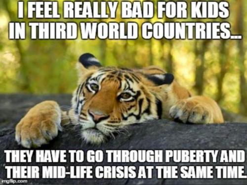 10:07:51 GMT-0800 (PST).image