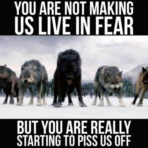 tumblr_eec6026057b33641fdb861801b153b62_2d246b94_540