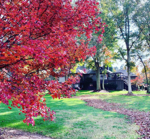 23:29:10 GMT+0100 (WAT).png