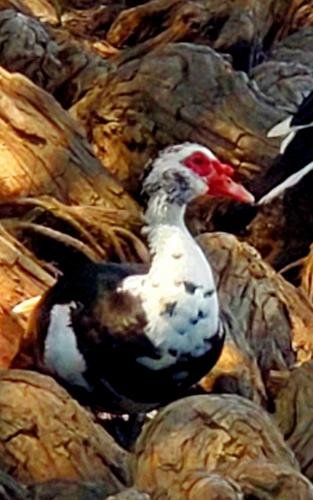 15:26:21 GMT-0800 (PST)